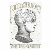 Phrenology Colour-in Poster